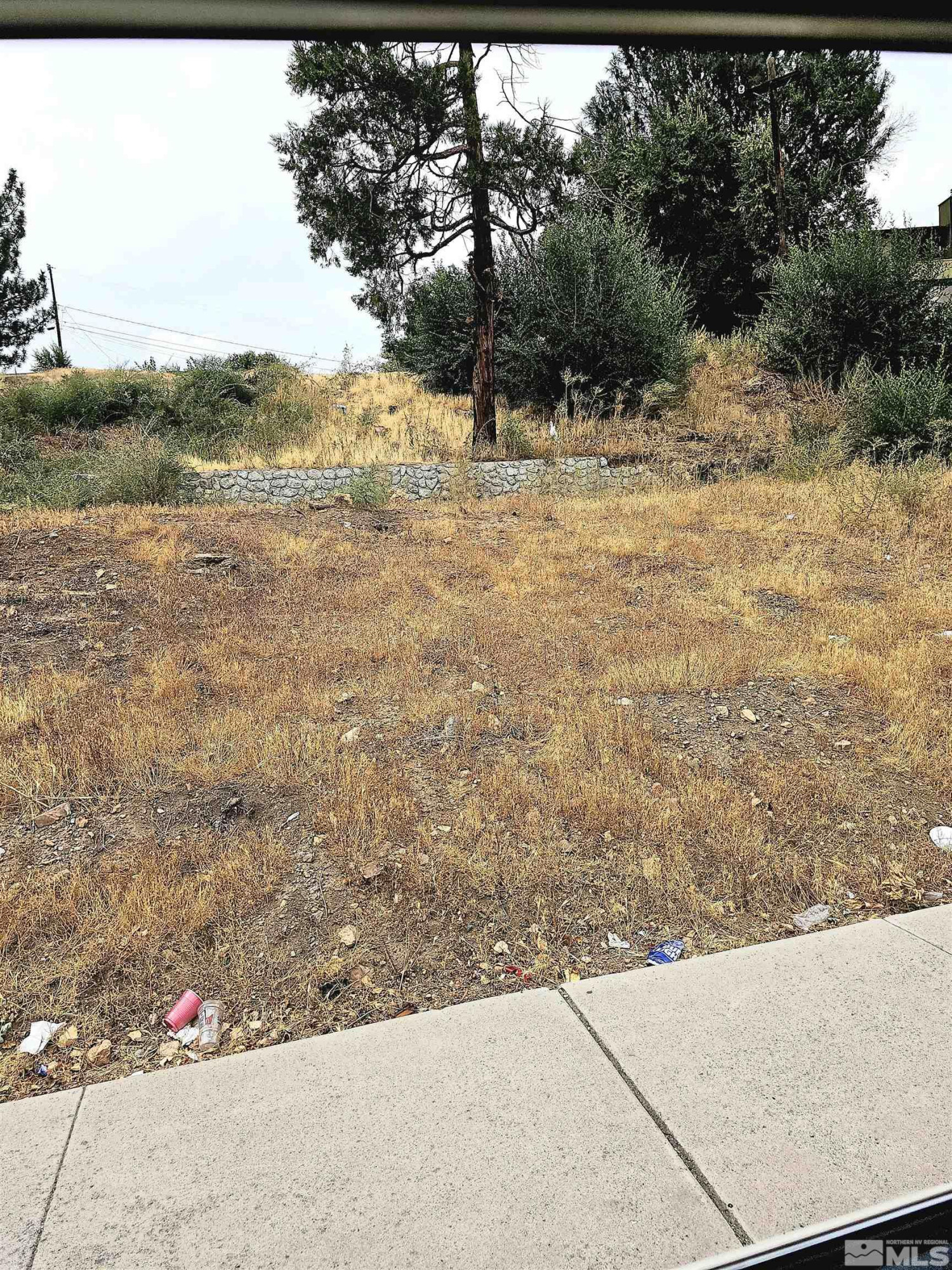 2065 Wedekind Road Reno, NV 89512 - Photo 4 of 4 Photo 4