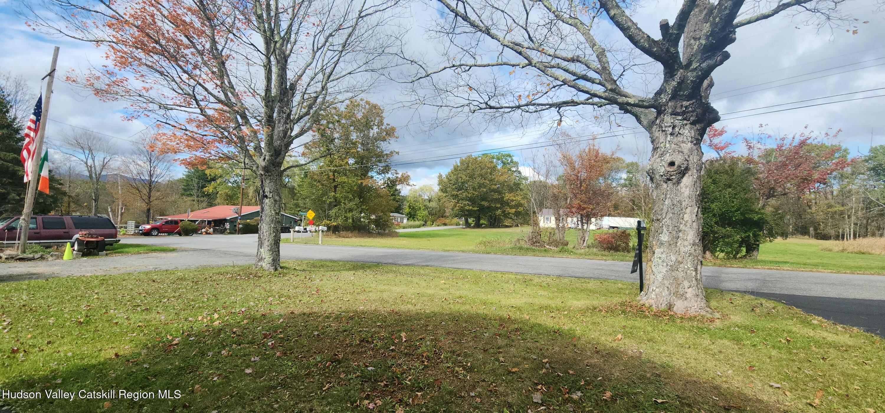 231 Stone Bridge Road Cornwallville, NY 12418 - Photo 15 of 18 a tall tree in middle of the park