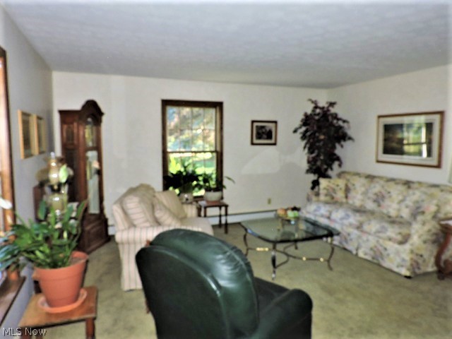 7403 Wolff Road Medina, OH 44256 - Photo 4 of 35 Gallery Image 4
