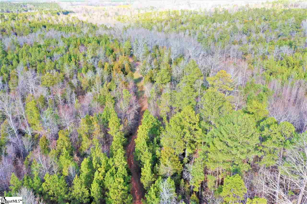 0 Golden Acres Road Clinton, SC 29325 - Photo 1 of 7