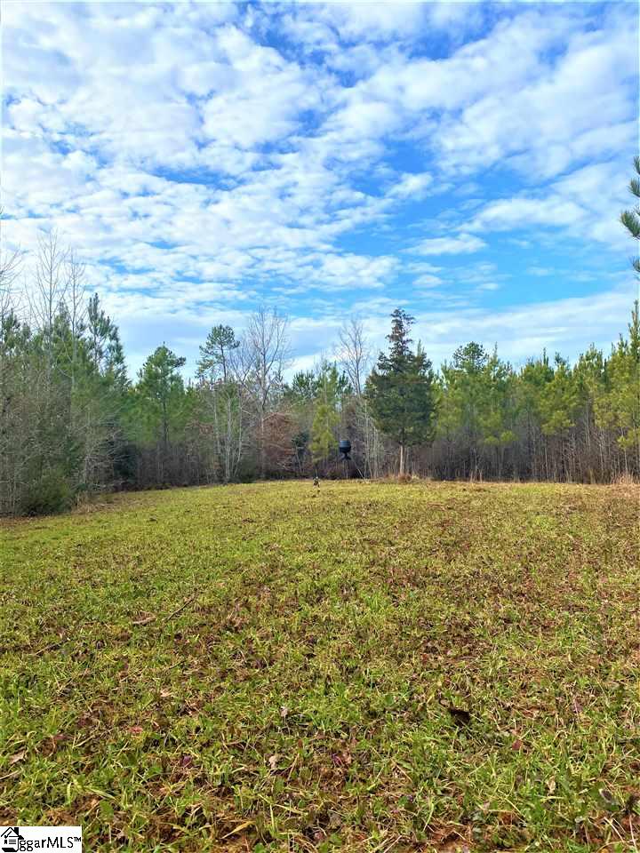 0 Golden Acres Road Clinton, SC 29325 - Photo 2 of 7