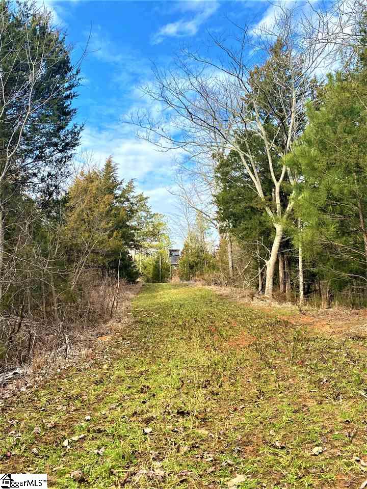 0 Golden Acres Road Clinton, SC 29325 - Photo 3 of 7