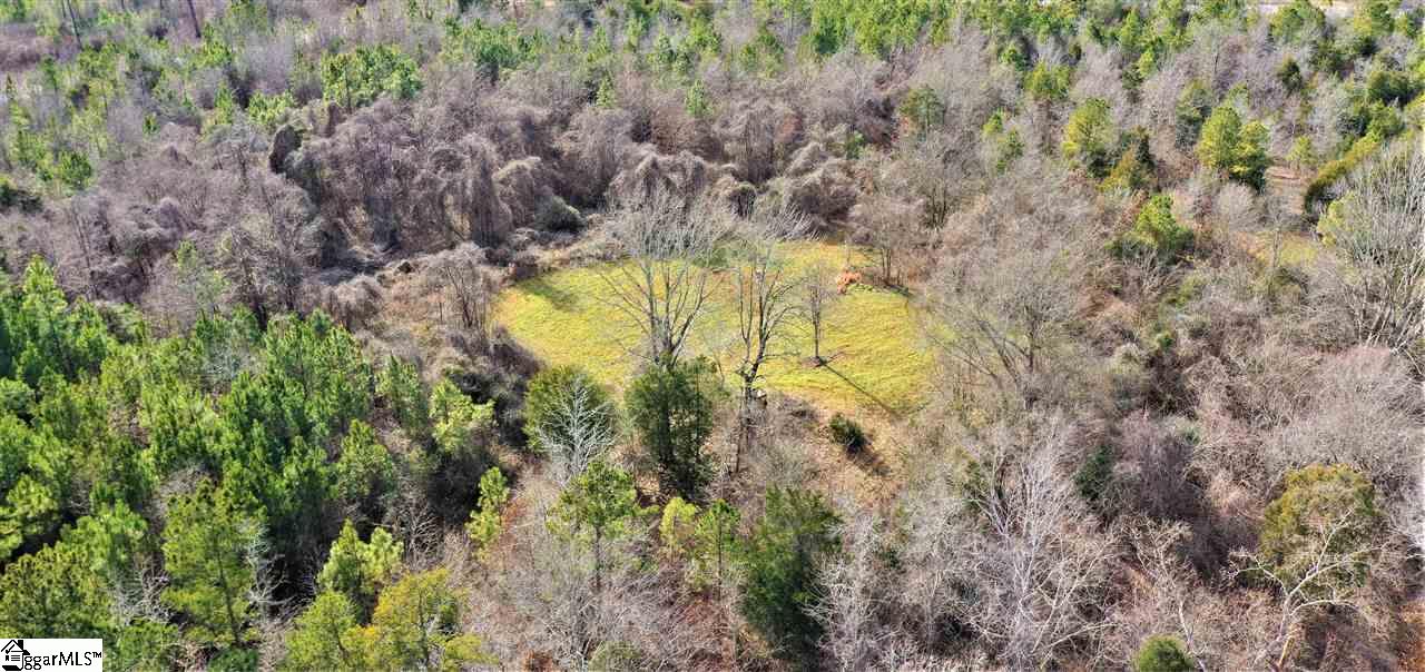 0 Golden Acres Road Clinton, SC 29325 - Photo 5 of 7