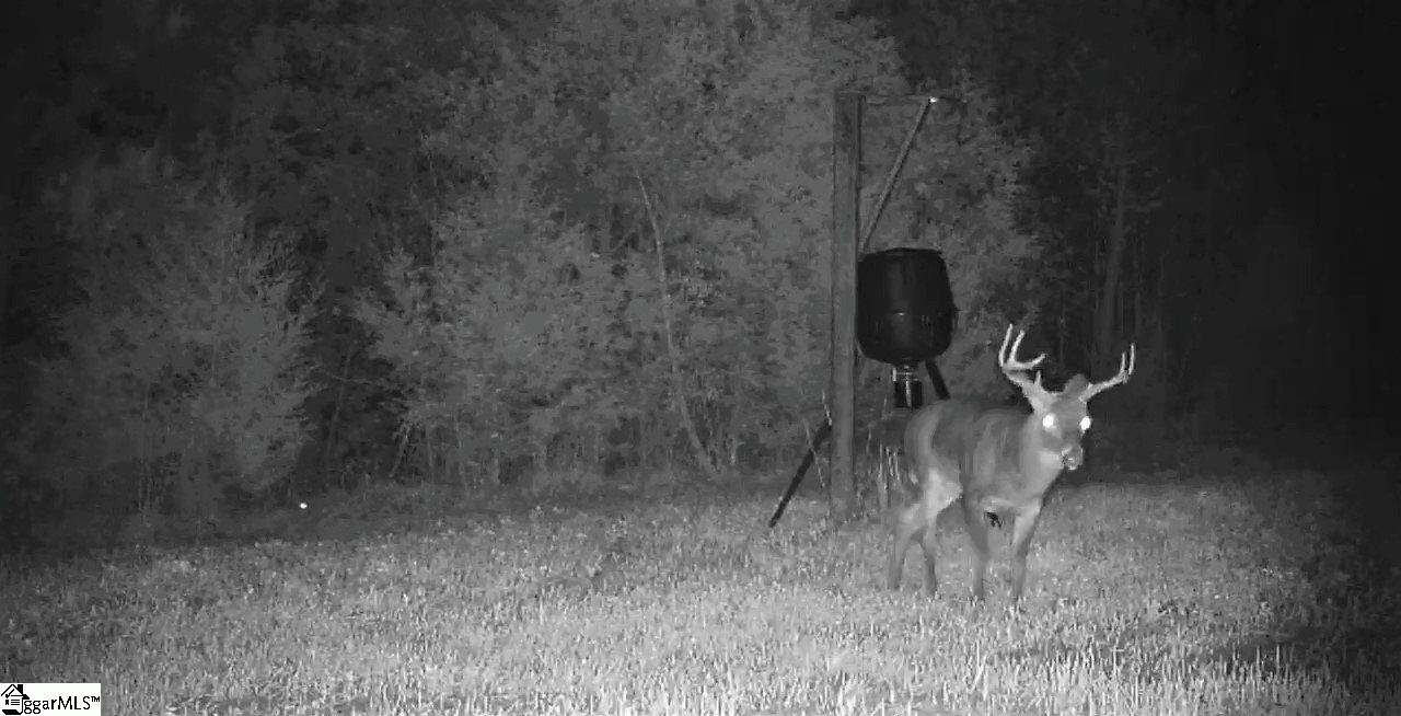 0 Golden Acres Road Clinton, SC 29325 - Photo 6 of 7