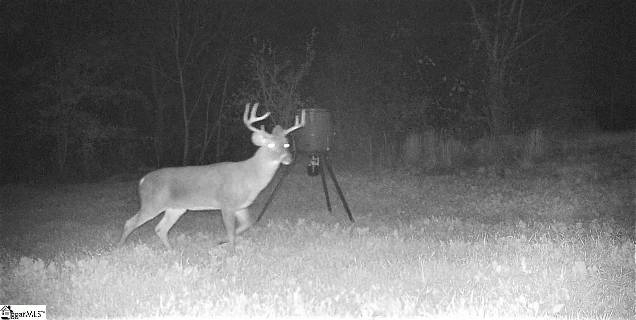 0 Golden Acres Road Clinton, SC 29325 - Photo 7 of 7