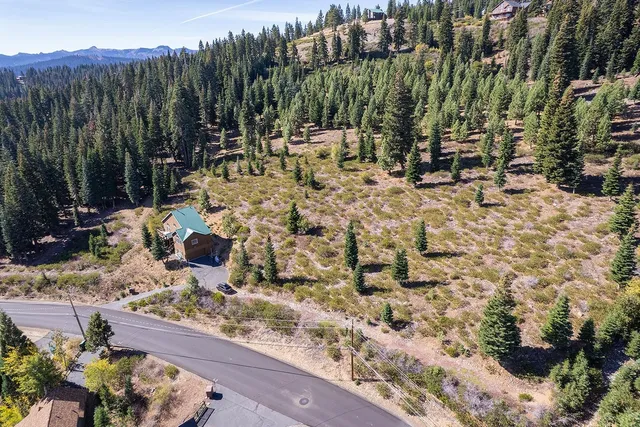 a view of a lake with a tree