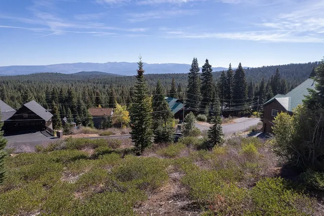 a view of a house with a yard and a forest