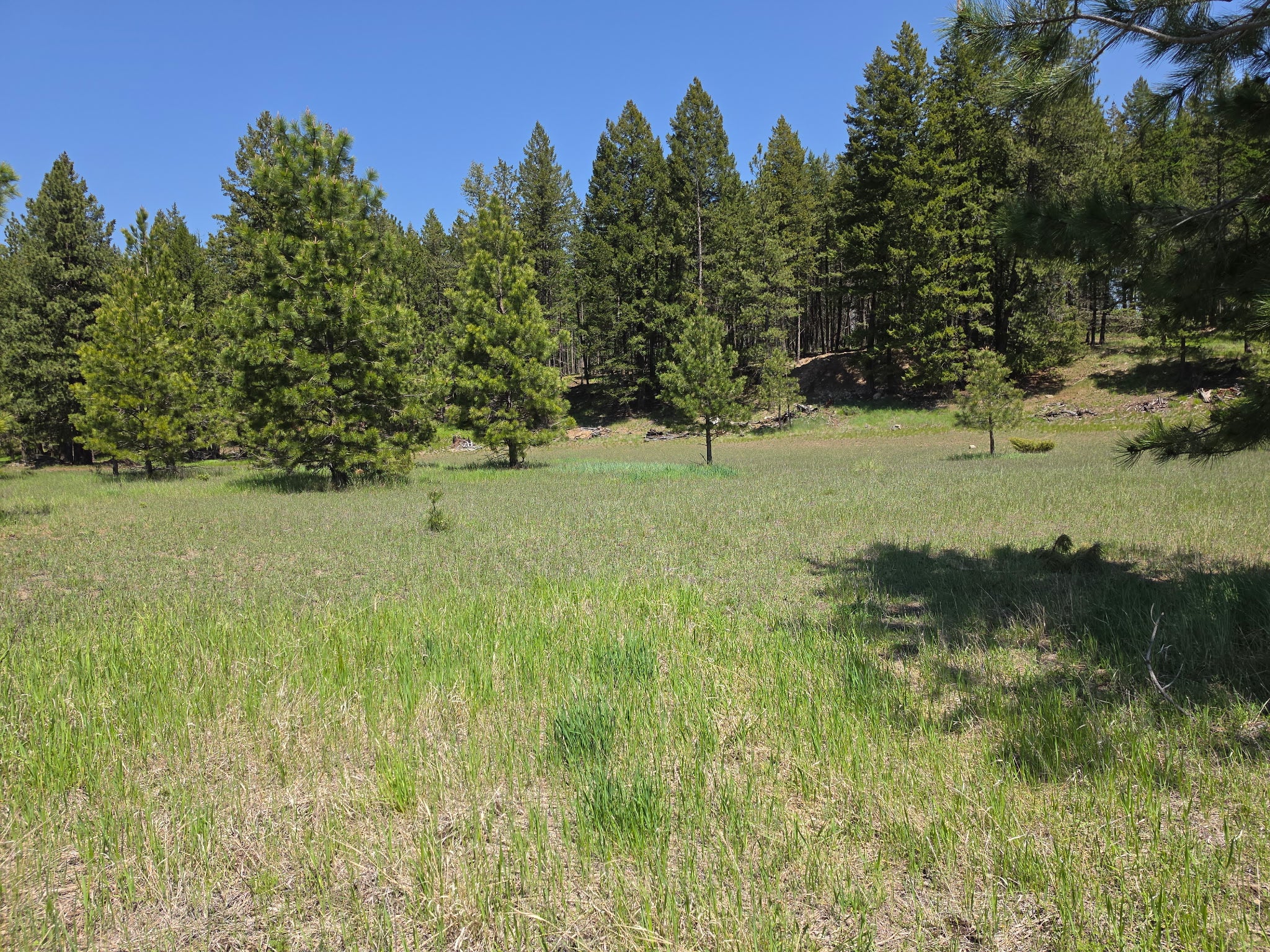 568 Bald Rock Road Kalispell, MT 59901 - Photo 29 of 37 Gallery Image 29