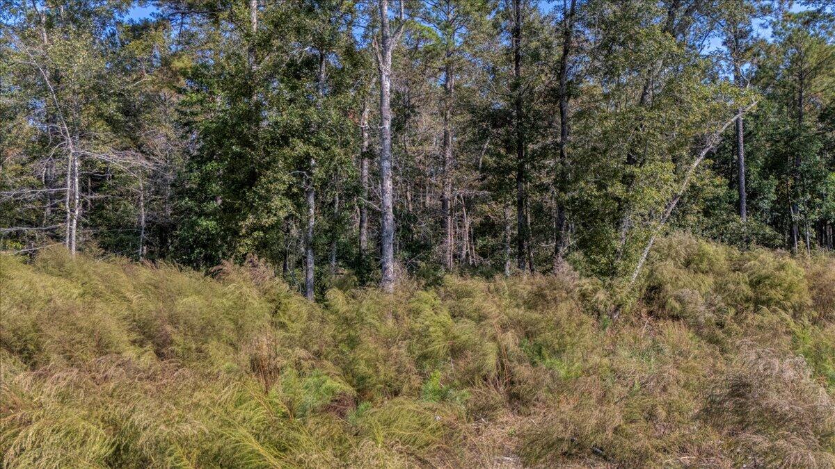 656 Stokes Road Walterboro, SC 29488 - Photo 26 of 30 05-656 Stokes Road-5