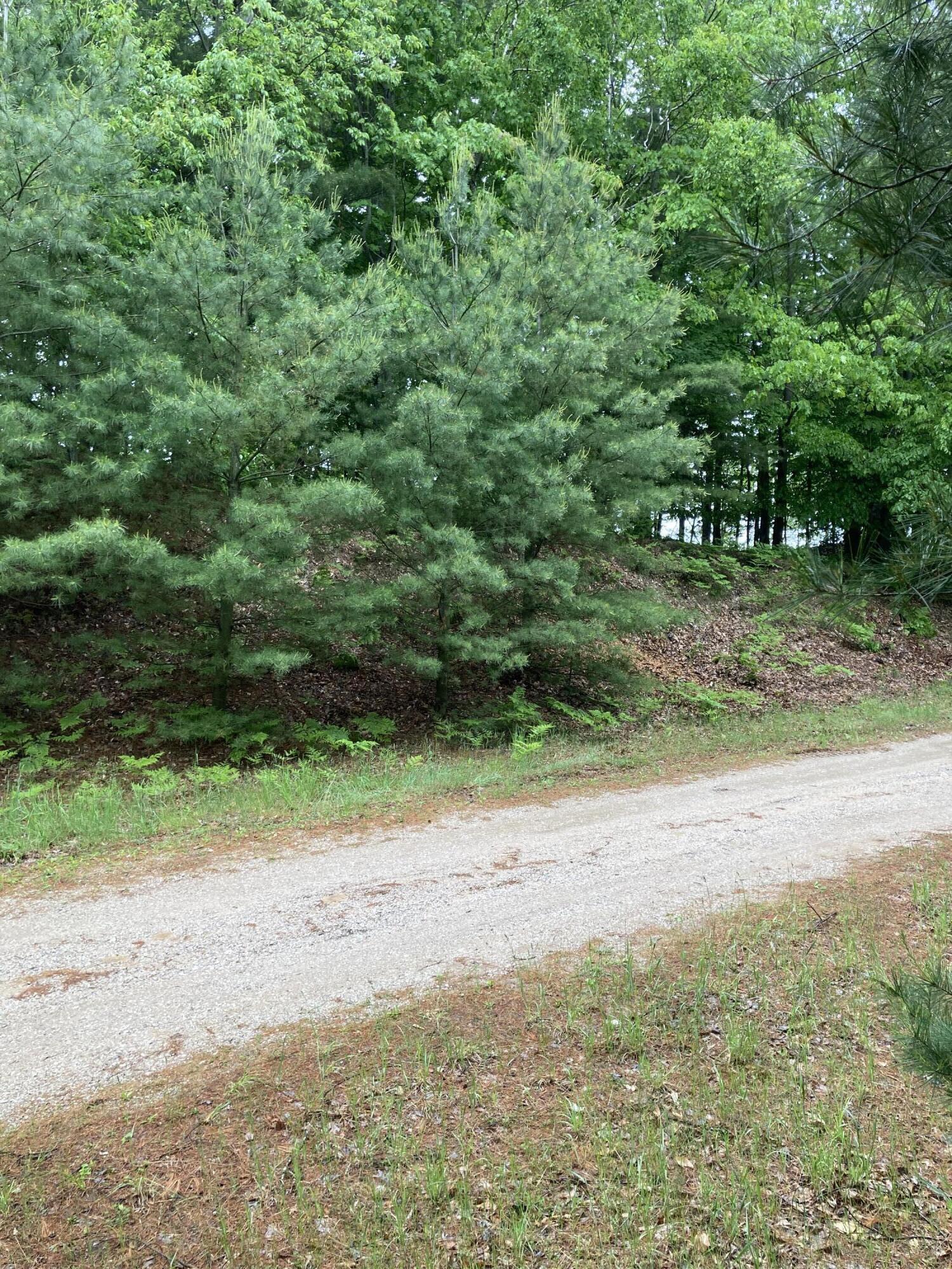 West Fox Farm Road Manistee, MI 49660 - Photo 13 of 15 IMG_4740