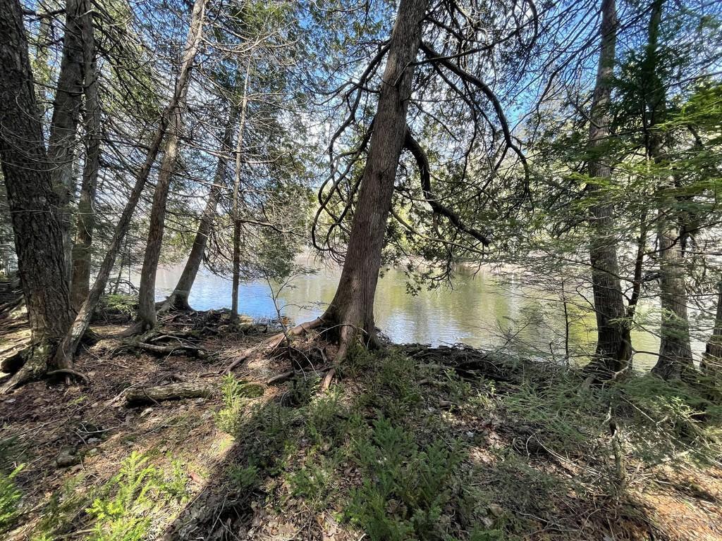 Lot 5 Western Road Robbinston, ME 04671 - Photo 11 of 11 53569_23