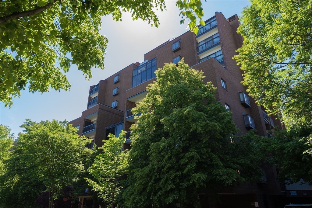 1265 Beacon Street, Unit 702 Brookline, MA 02446 - Photo 28 of 29