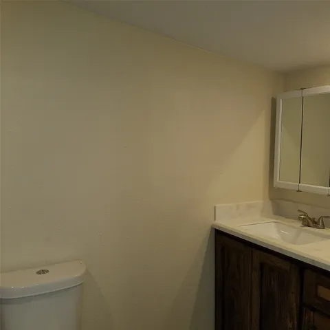 a bathroom with a sink and a toilet