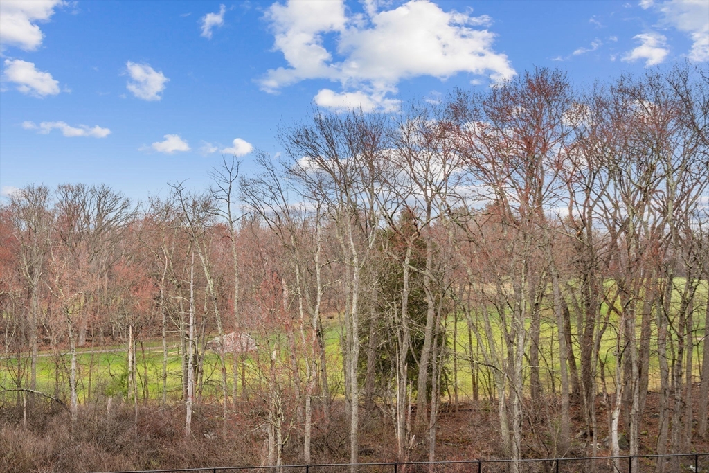 116 Boston Post Road East, Unit 204 Marlborough, MA 01752 - Photo 4 of 29