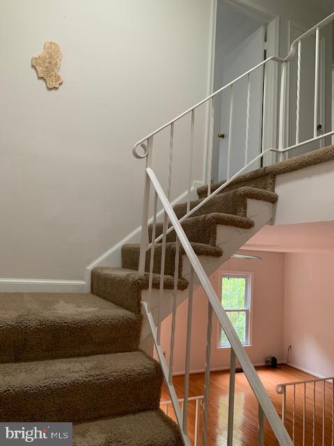 7416 Spring Tree Drive Springfield, VA 22153 - Photo 19 of 32
