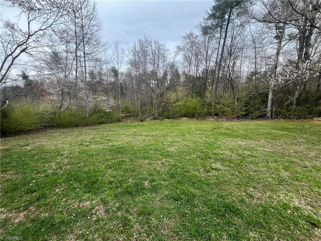 764 Imogene Church Road Lowgap, NC 27024 - Photo 5 of 20 Gallery Image 5