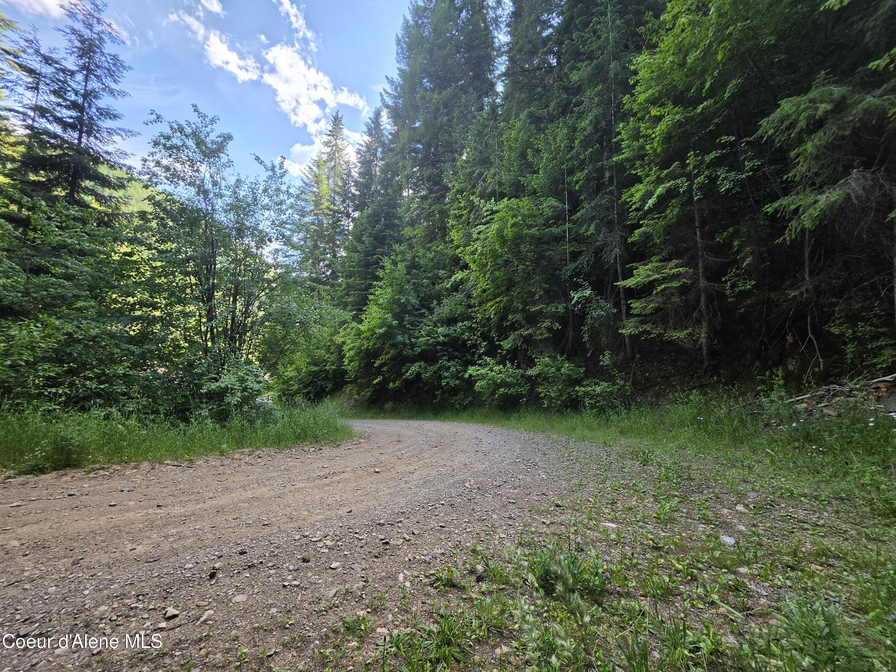 480 Dunn Peak Road Avery, ID 83802 - Photo 18 of 66 6384