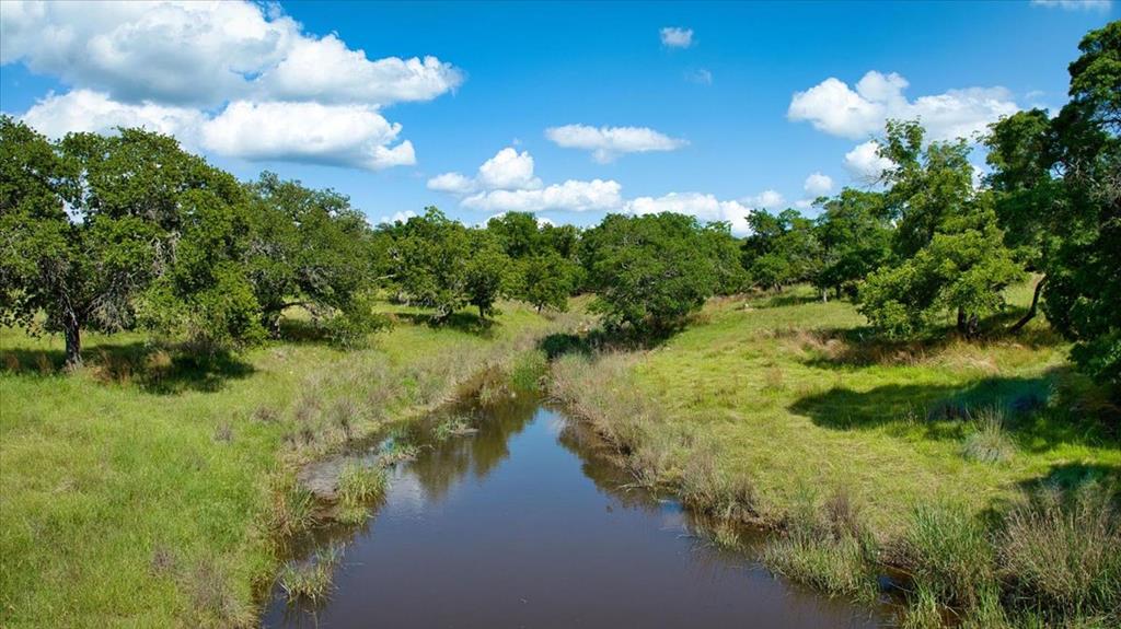 1411 Grape Creek Road Fredericksburg, TX 78624 - Photo 14 of 53