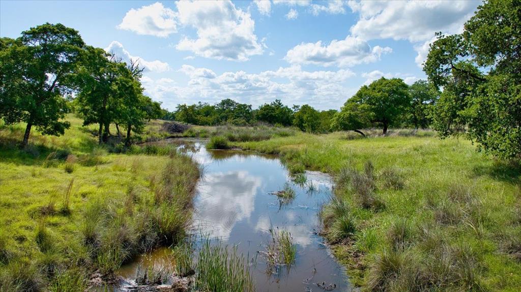 1411 Grape Creek Road Fredericksburg, TX 78624 - Photo 33 of 53