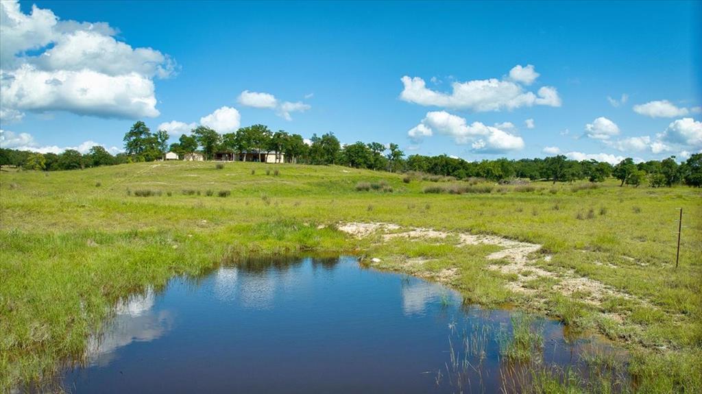 1411 Grape Creek Road Fredericksburg, TX 78624 - Photo 34 of 53