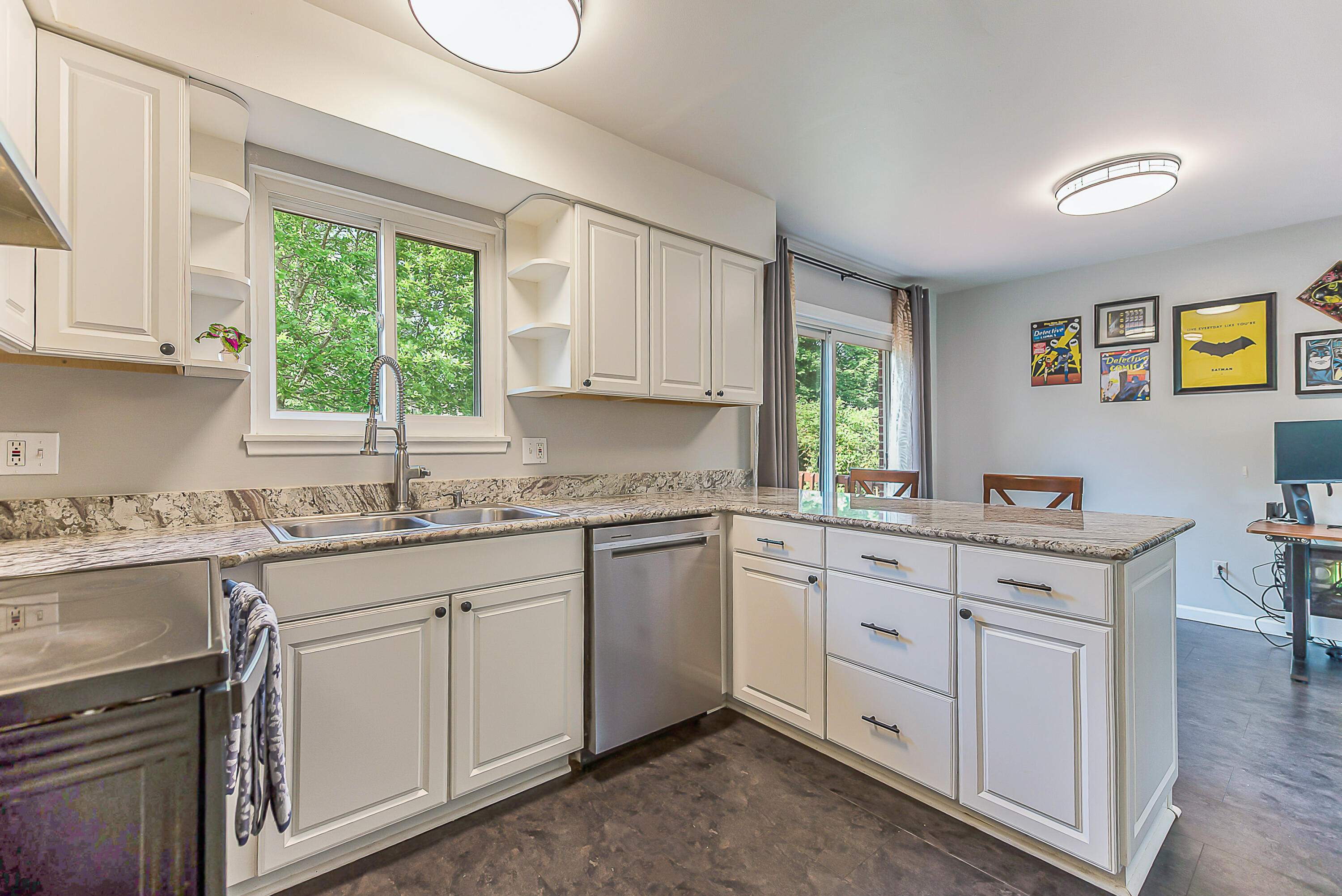 3011 Williamsburg Road Ann Arbor, MI 48108 - Photo 5 of 41 kitchen