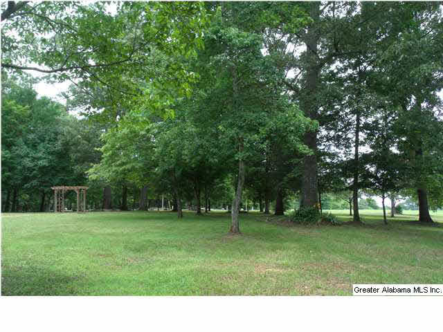 1090 Talladega Creek Road Talladega, AL 35160 - Photo 24 of 25