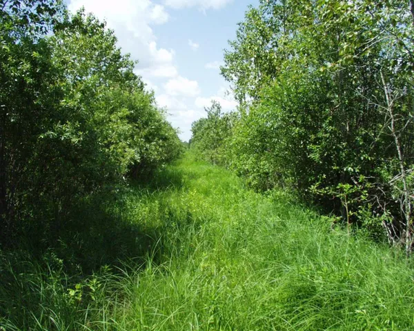 $129,900 | 72001 Dicks Parkway Northwest, Grygla, MN 56727