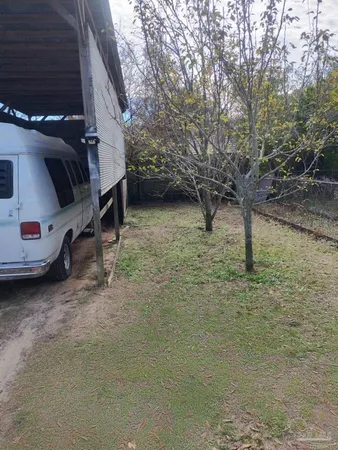 a view of a yard with plants and trees