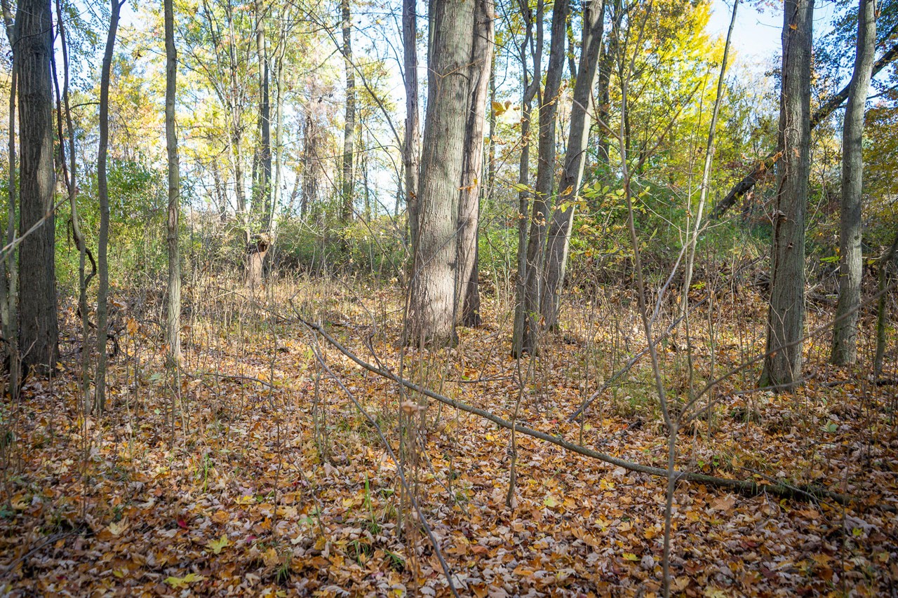 00 Sullivan Road Fremont, MI 49412 - Photo 20 of 32