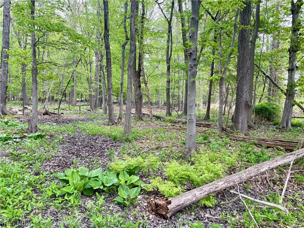 Collins Road Mentor, OH 44060 - Photo 5 of 10