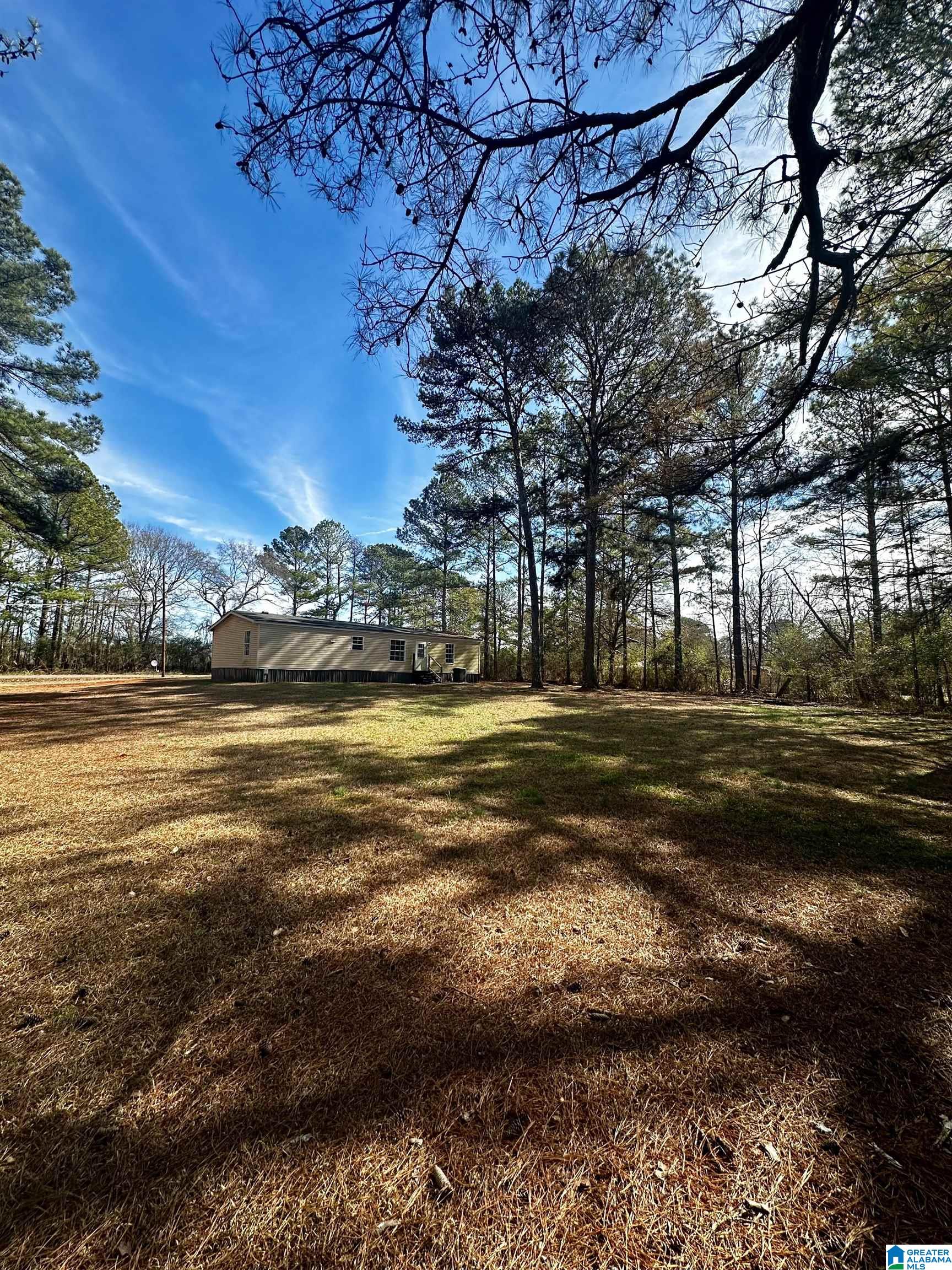 1127 Banks Road Roanoke, AL 36274 - Photo 4 of 34