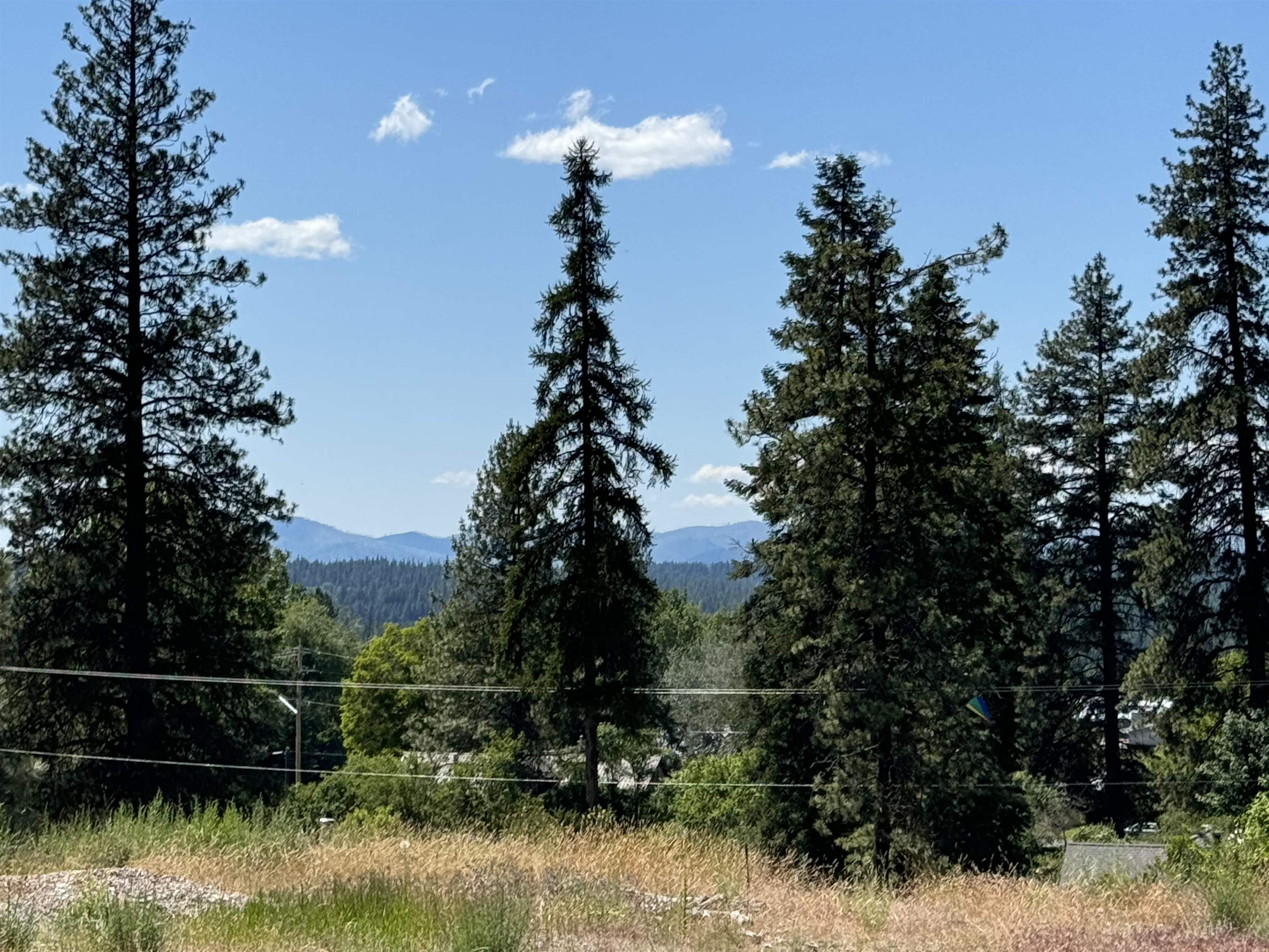 530 North A Street, Unit LOT #4 Springdale, WA 99173 - Photo 3 of 12