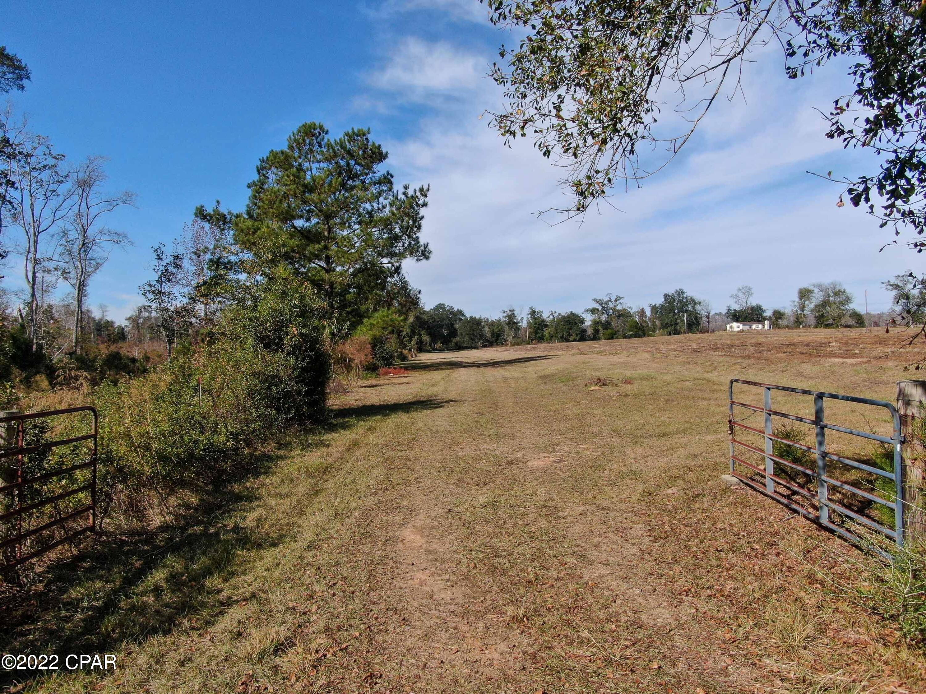 2196 Archie Sapp Road Alford, FL 32420 - Photo 7 of 39