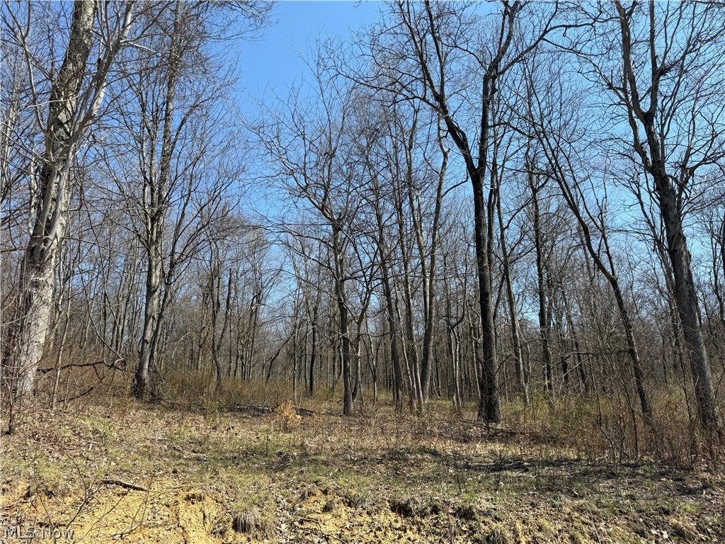 0 Kragel Road Richmond, OH 43944 - Photo 11 of 31