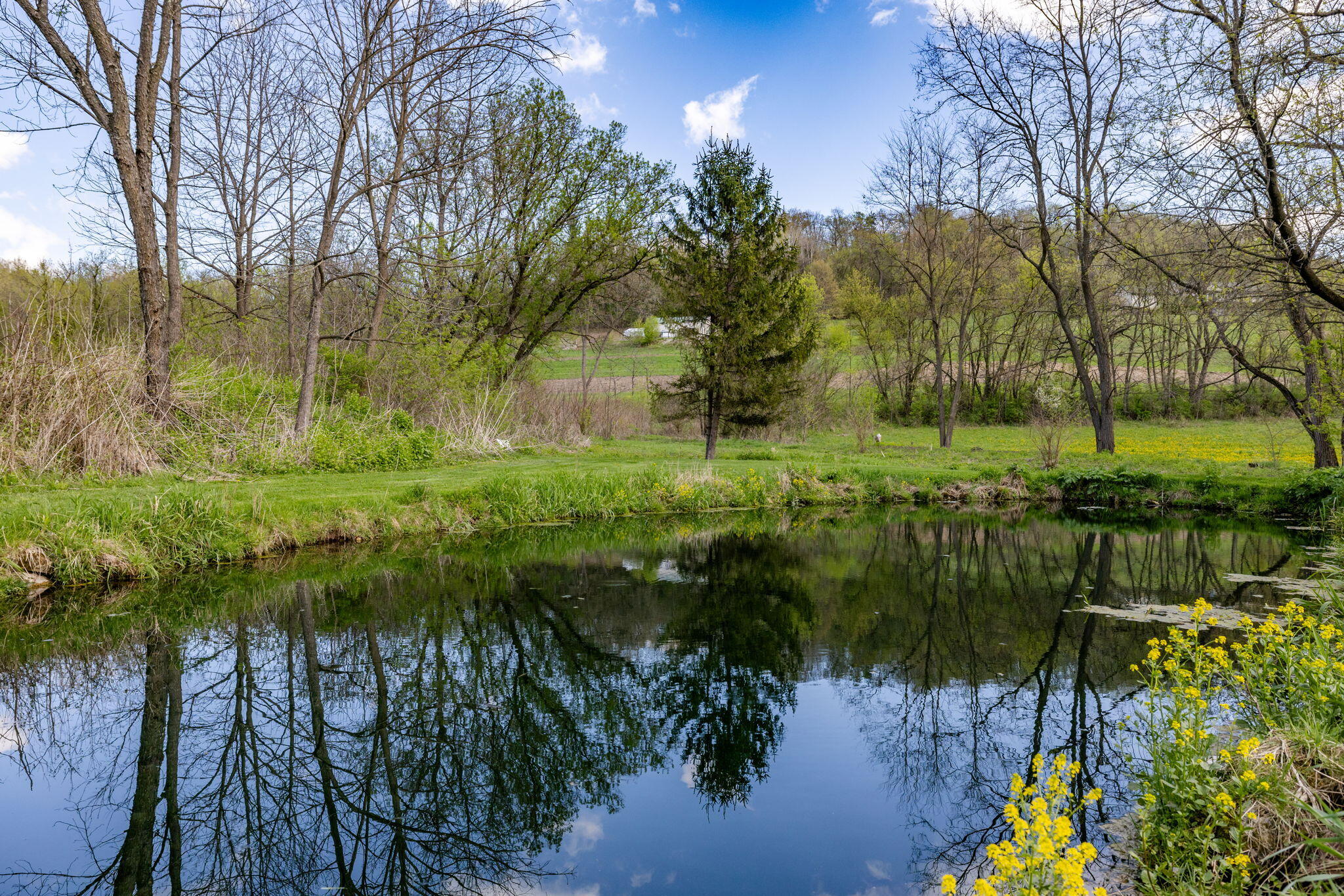 S1198 County Rd K Chaseburg, WI 54621 - Photo 24 of 34 Pond