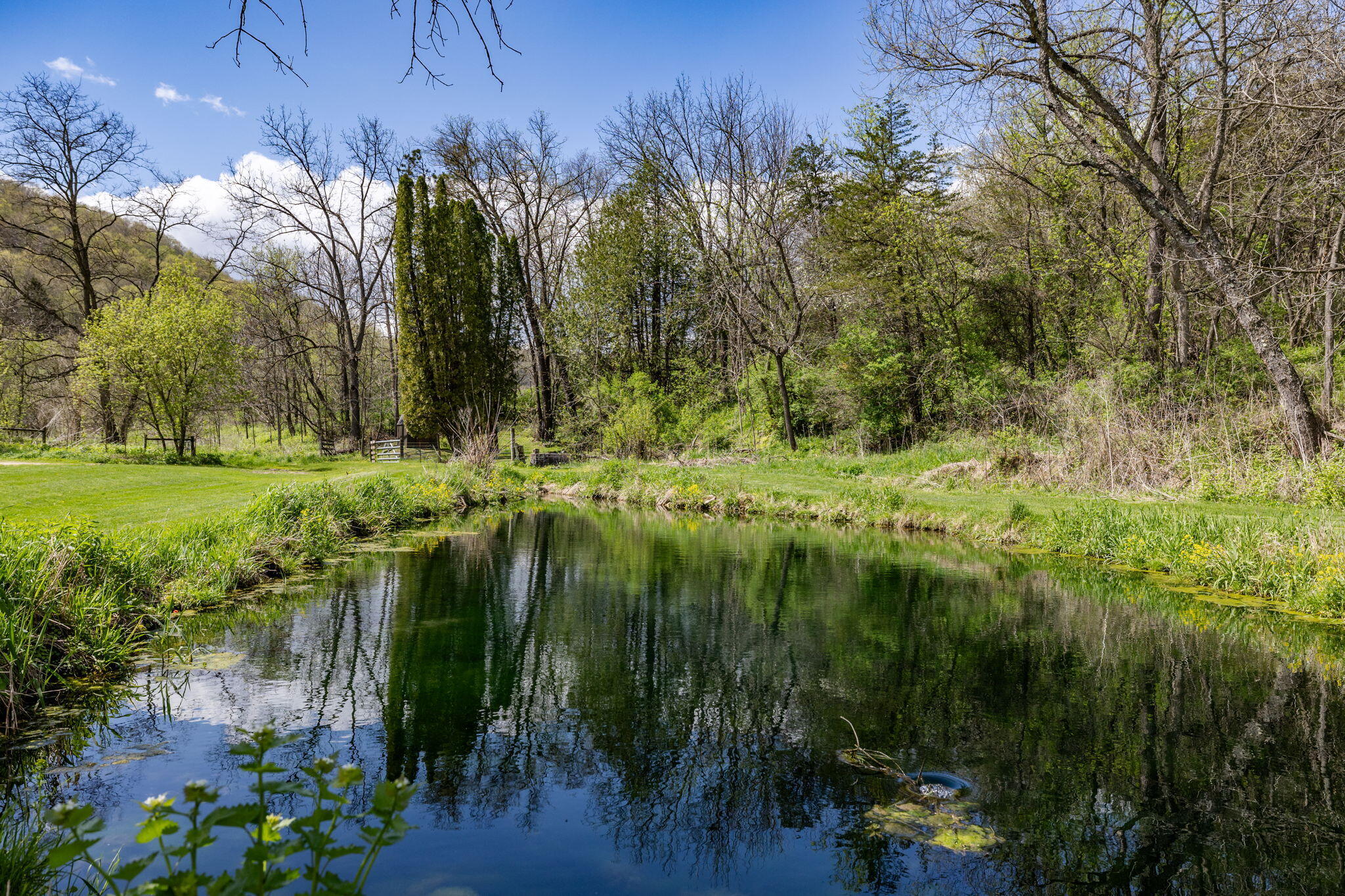 S1198 County Rd K Chaseburg, WI 54621 - Photo 25 of 34 Pond