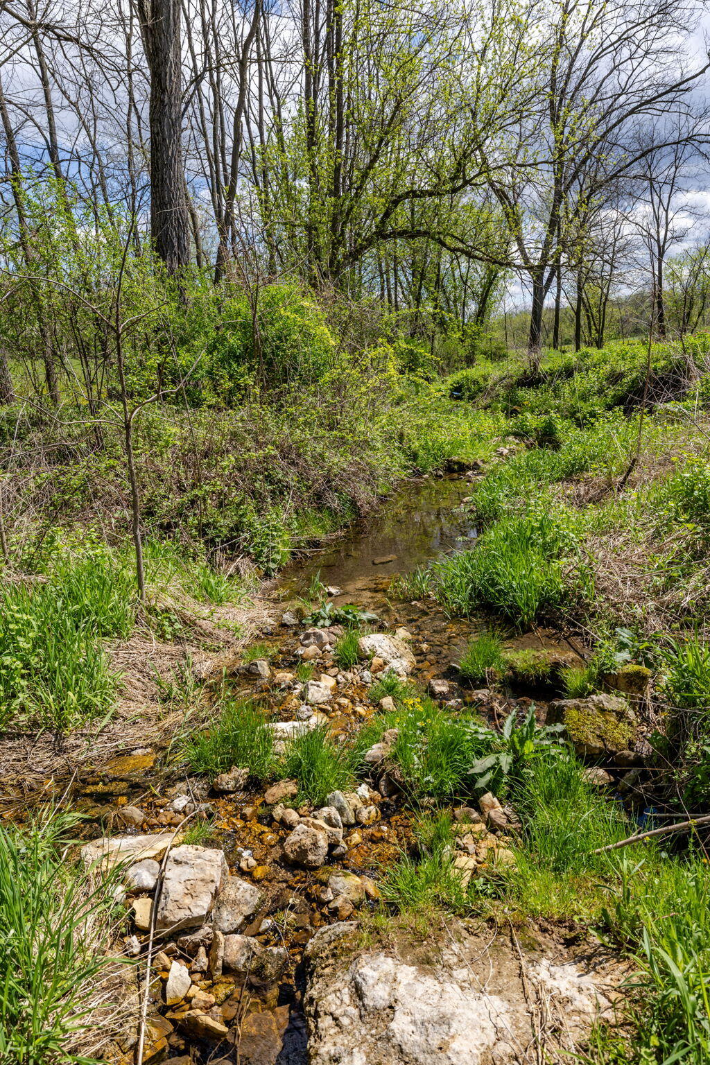 S1198 County Rd K Chaseburg, WI 54621 - Photo 26 of 34 Creek