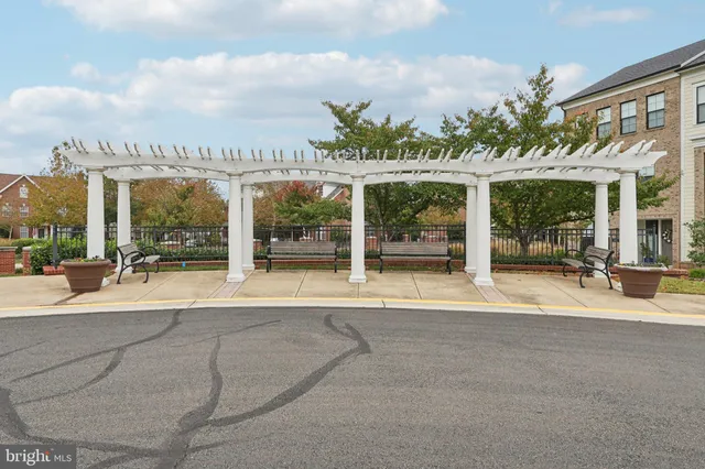 a view of a park with large trees
