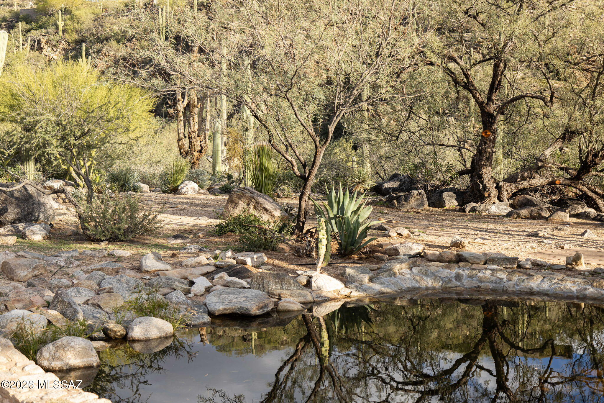 6550 North Rattlesnake Canyon Road Tucson, AZ 85750 - Photo 44 of 51 Pond