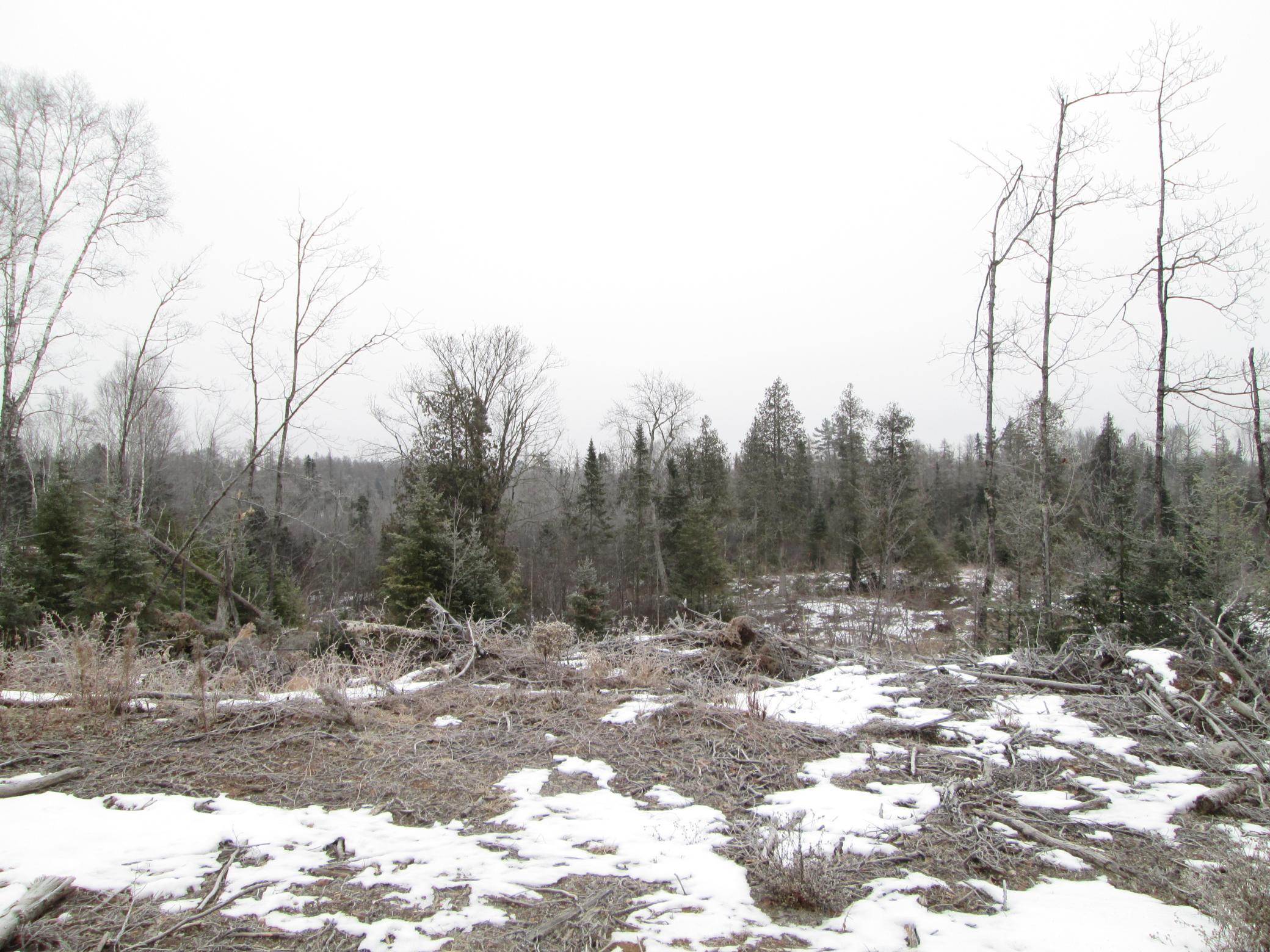 Tbd County Rd L South Range, WI 54874 - Photo 2 of 10