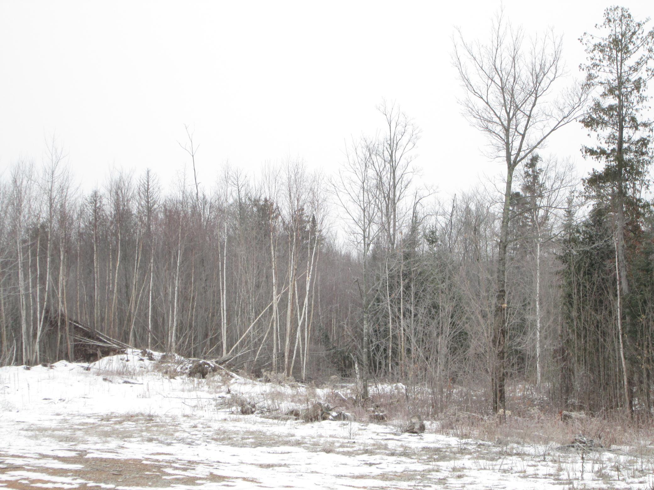 Tbd County Rd L South Range, WI 54874 - Photo 4 of 10