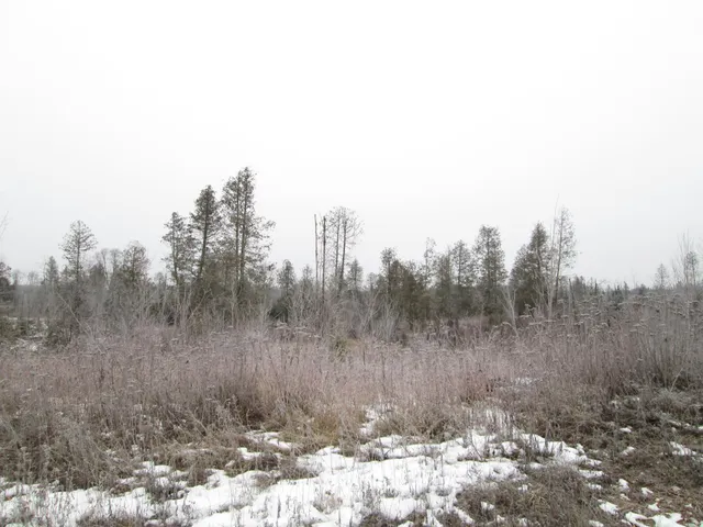 $99,000 | Tbd County Rd L, South Range, WI 54874