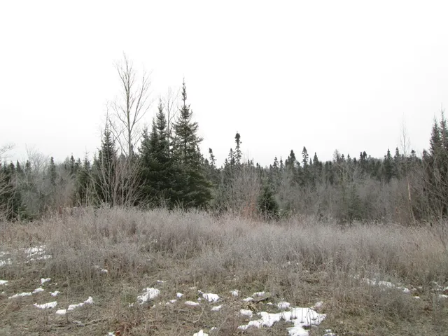 $99,000 | Tbd County Rd L, South Range, WI 54874