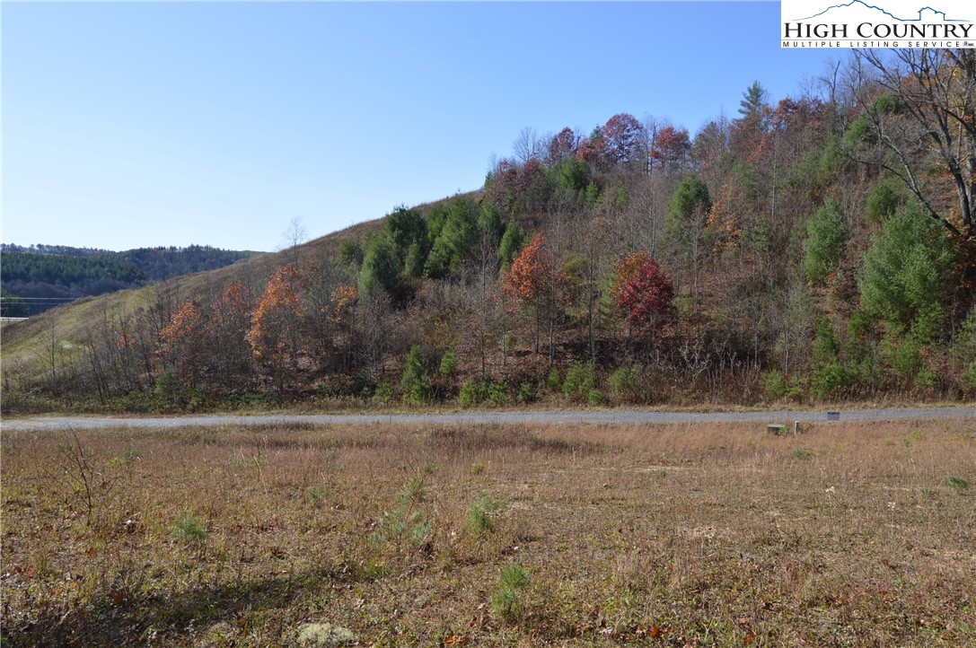 Savannah Ridge Road Fleetwood, NC 28626 - Photo 8 of 20 a view of a dry yard with mountain