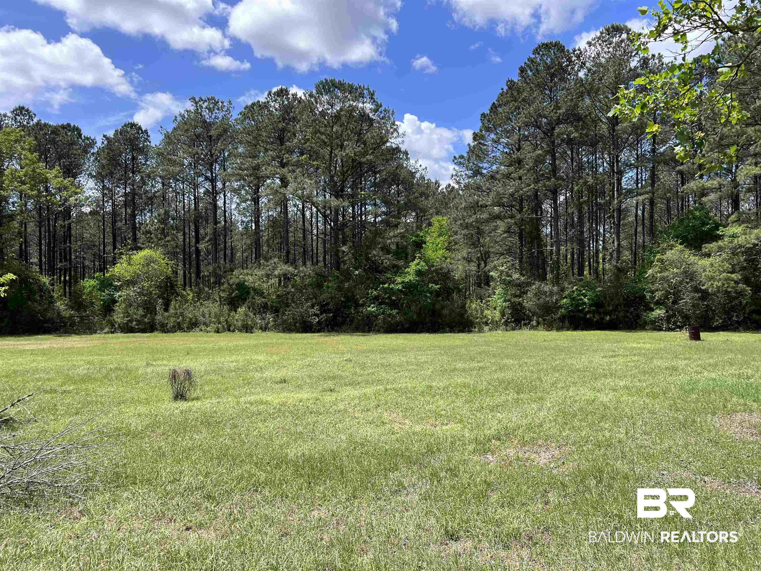 1375 Jones Chapel Road Evergreen, AL 36401 - Photo 32 of 32