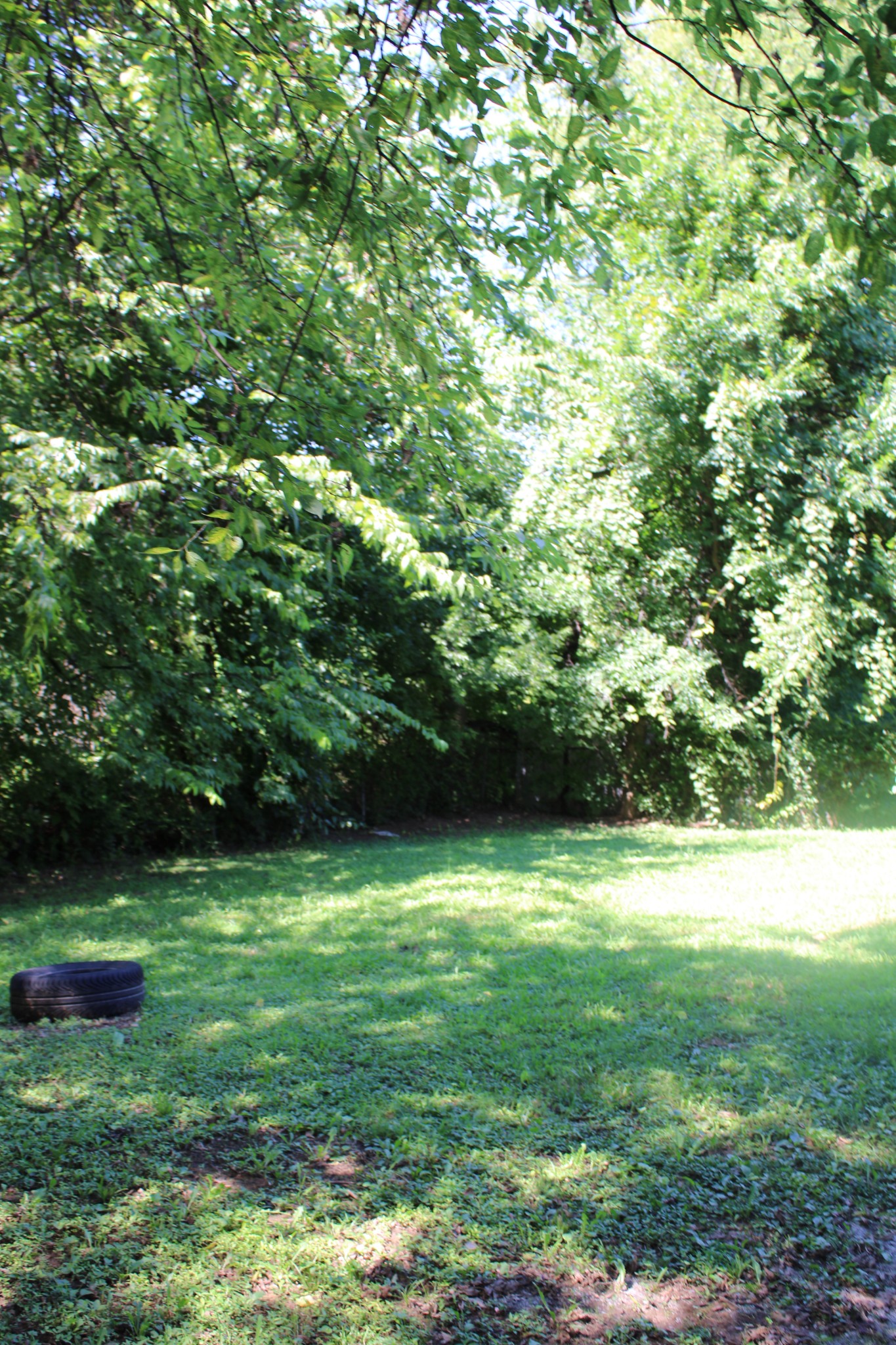 20 Cable Road Oak Grove, KY 42262 - Photo 12 of 12 a view of green field with trees in the background