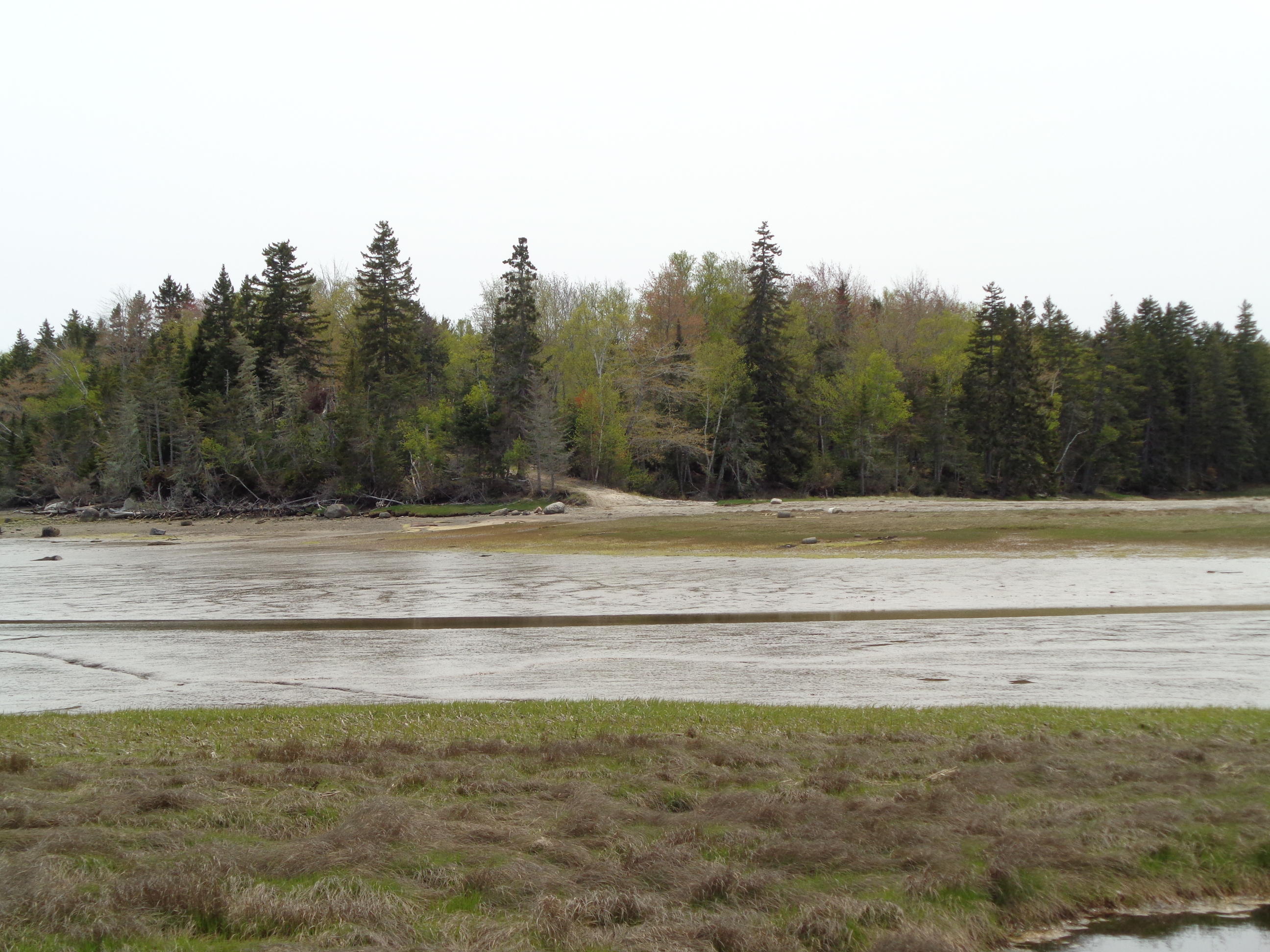 Lot 14-5 Pineo Point Road Harrington, ME 04643 - Photo 9 of 34 DSC03095