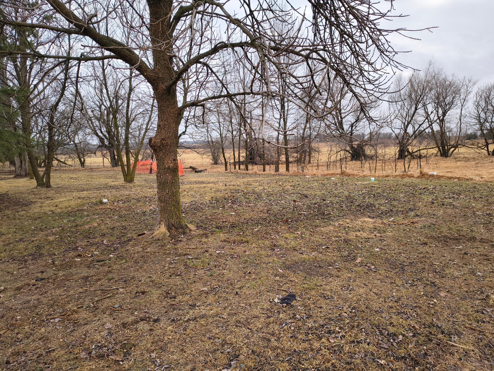 41283 Eastbend Road Belgrade, MN 56312 - Photo 26 of 32