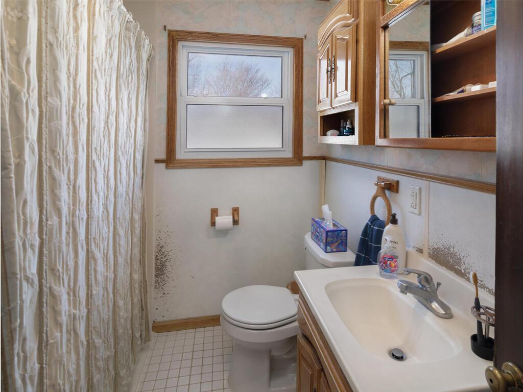 1233 Parallel Street Chaska, MN 55318 - Photo 8 of 16