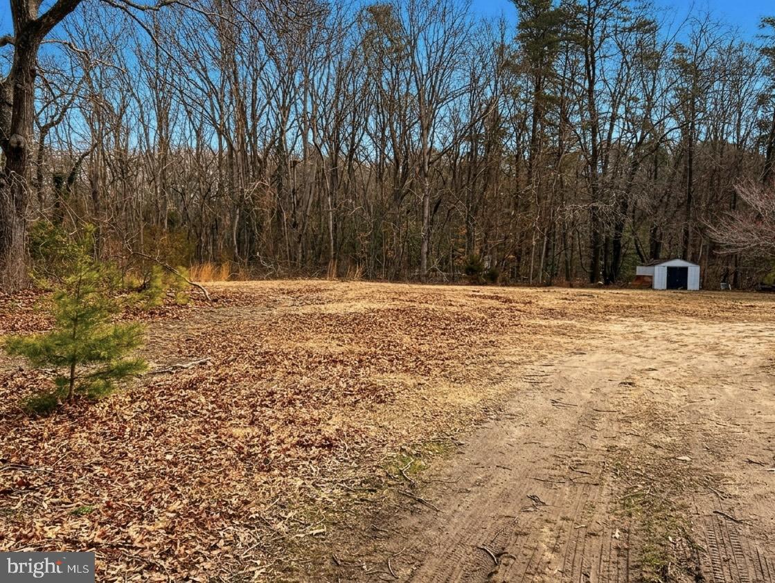 a view of empty room with trees